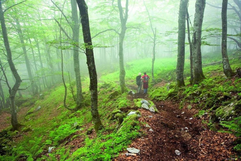 Los Molinos - Atico En Montana De Asturias Felechosa Exterior foto