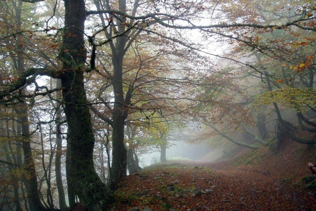 Los Molinos - Atico En Montana De Asturias Felechosa Exterior foto