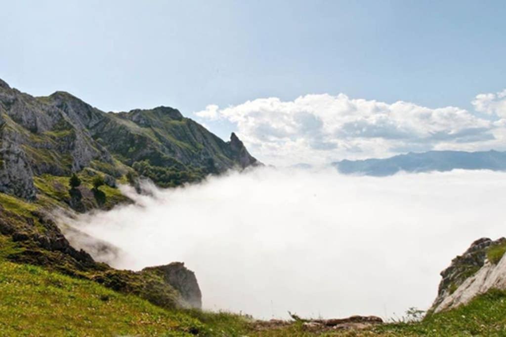 Los Molinos - Atico En Montana De Asturias Felechosa Exterior foto